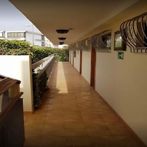 Nogalera